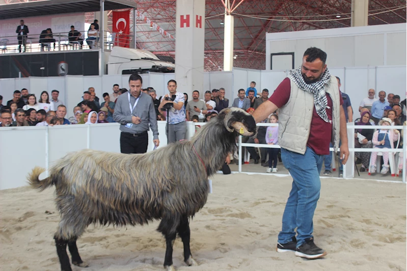 Burdur
