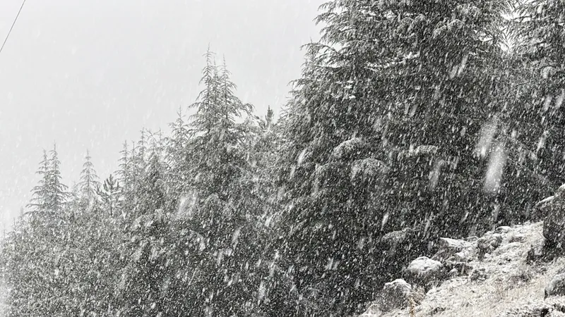 Kahramanmaraş'ta kar yağışı etkili oldu