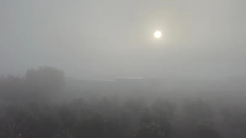 Antakya'da sis etkili oldu