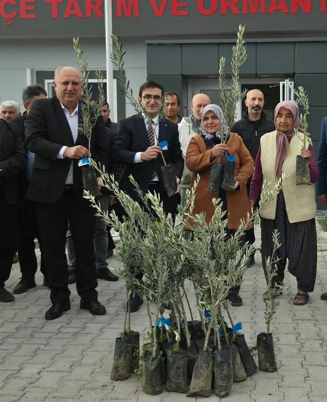 Sumbas ilçesinde çiftçilere 10 bin zeytin fidanı dağıtıldı