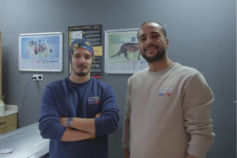 İştahsızlık şikayetiyle veterinere götürülen kedinin kalçasından mermi çekirdeği çıkarıldı