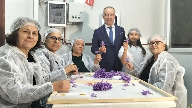 Mali müşavir kurduğu tesiste topraksız safran üretimi yapıyor