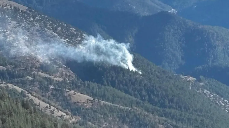 Feke'de çıkan orman yangını kontrol altına alındı  