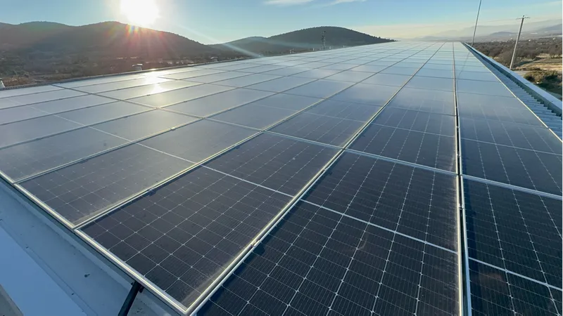 Devlet desteğiyle kurduğu tesiste hem elektrik hem de mantar üretiyor