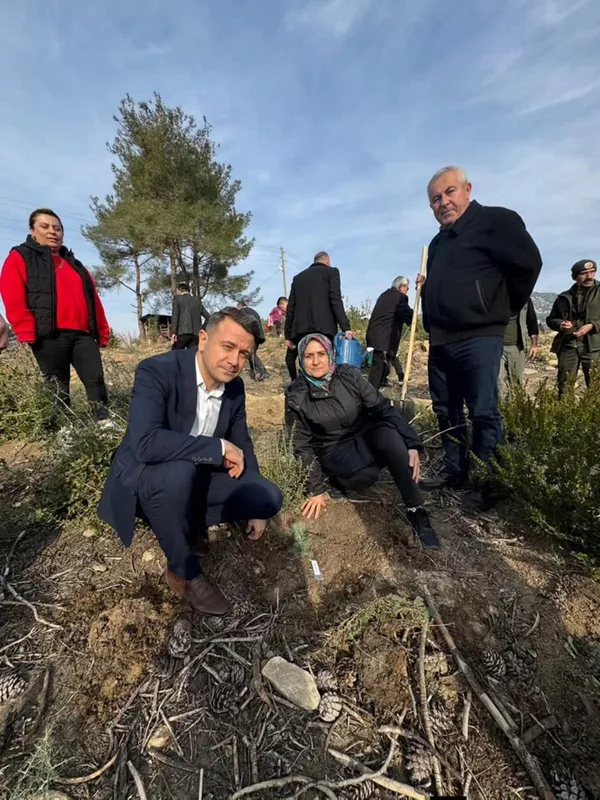 Kozan'da şehitler anısına fidan dikildi