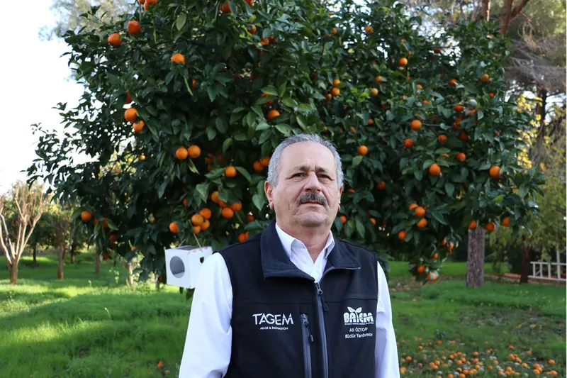Laboratuvarda üretilen faydalı böcekler bahçe ve seralarda zararlılara karşı kalkan oluyor