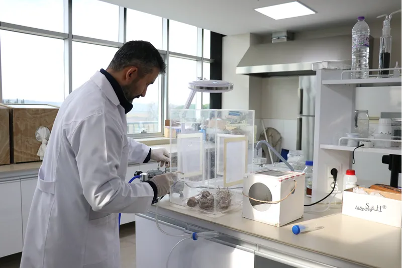 Laboratuvarda üretilen faydalı böcekler bahçe ve seralarda zararlılara karşı kalkan oluyor