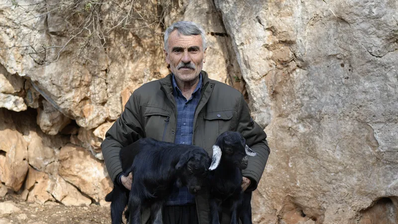 Yarım asırlık çoban kavalından çıkardığı nağmelerle sürüsünü kontrol ediyor