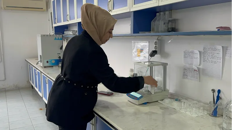 Isparta'daki akademisyenler ak zambağın üretim süresinin kısalması için çalışma yapıyor