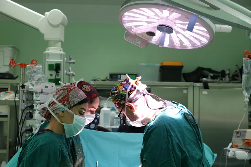 Antalya'da bir yıl önce kurulan merkez 83 hastayı yaşama bağladı