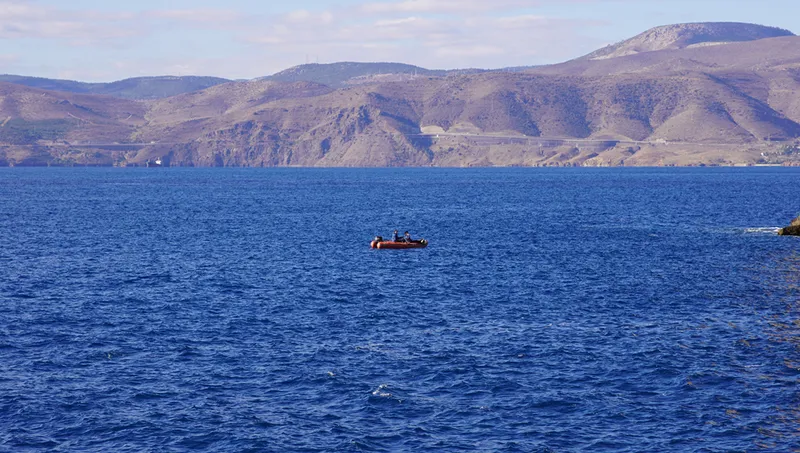 Mersin'de kayalıklarda mahsur kalan keçi kurtarıldı