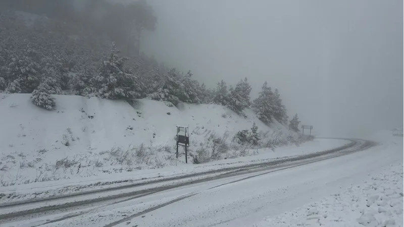 Adana'nın yüksek kesimlerinde kar yağışı etkili oldu