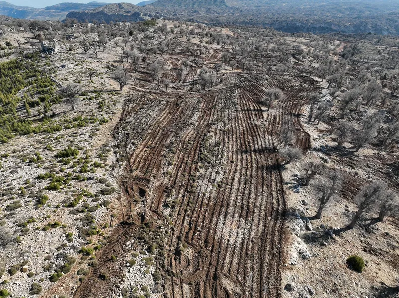 Gülnar ilçesinde "Şehit Ertuğrul Ulupınar Sedir Ormanı" oluşturuldu