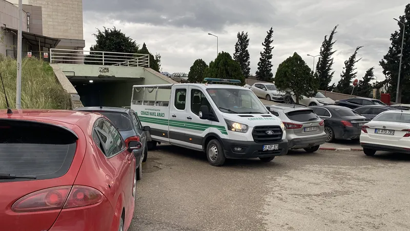 Hatay'da cipin çarptığı yaya hayatını kaybetti