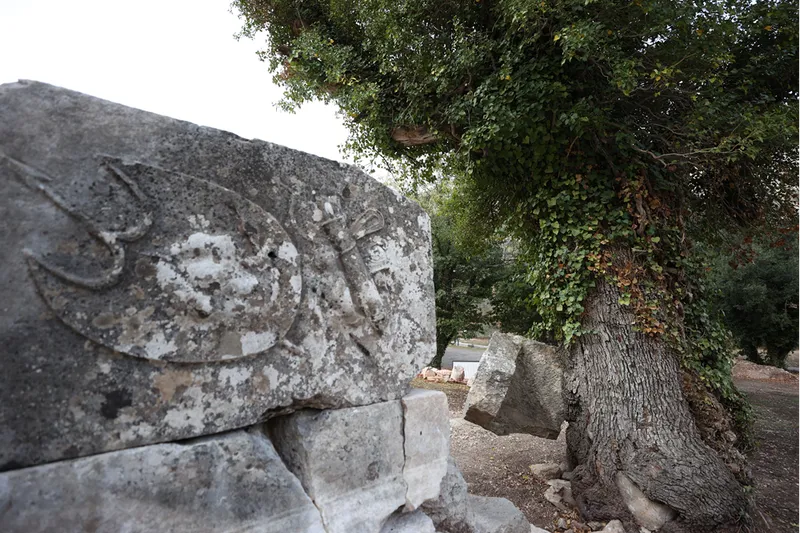 Doğa ve tarihin buluştuğu Termessos, ziyaretçilerine unutulmaz manzaralar sunuyor