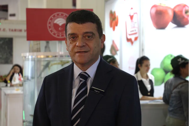 Türkiye'den yurt dışına sebzede en çok domates, salatalık ve biber tohumu gönderiliyor