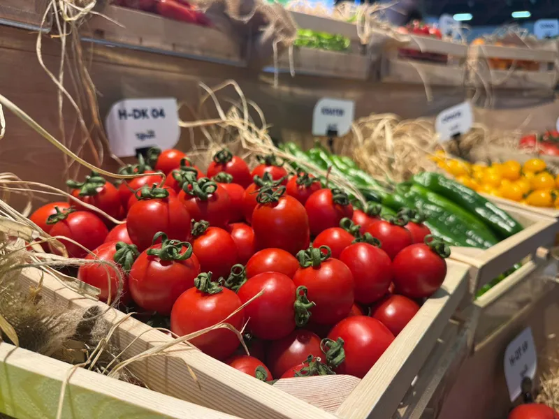 Türkiye'den yurt dışına sebzede en çok domates, salatalık ve biber tohumu gönderiliyor