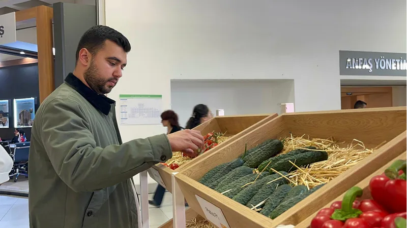 Türkiye'den yurt dışına sebzede en çok domates, salatalık ve biber tohumu gönderiliyor