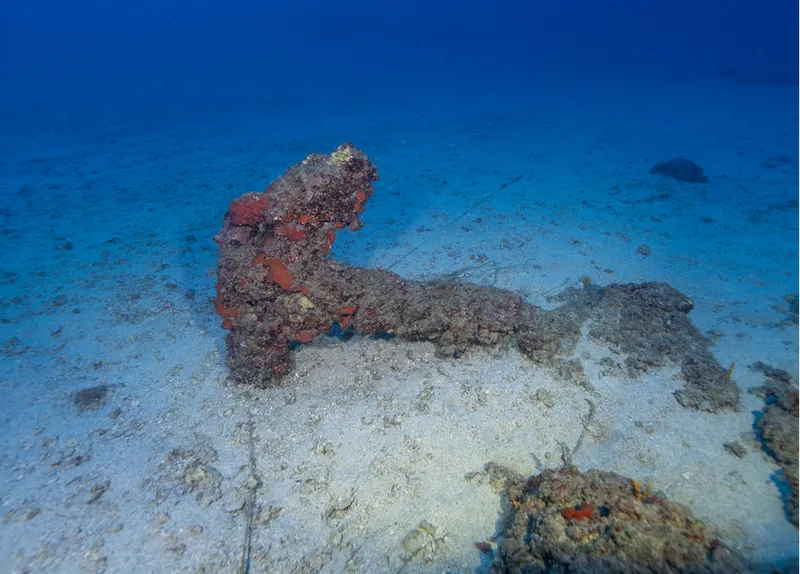 Doğu Akdeniz'in derinliklerine inen dalgıçlar canlıların renkli dünyasını görüntüledi