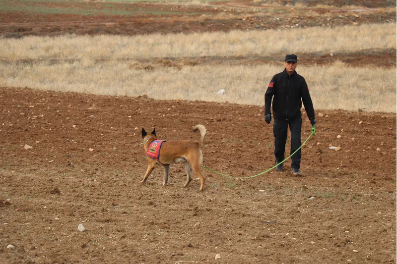 Isparta'da vücut bütünlüğü bozuk halde ölü bulunan çobanın uzuv araması sürüyor