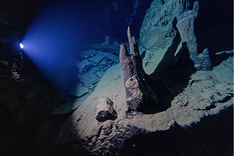 Doğu Akdeniz'in derinliklerine inen dalgıçlar canlıların renkli dünyasını görüntüledi