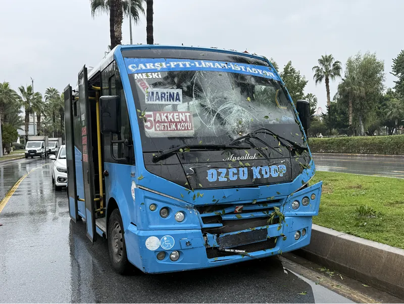Mersin'de rüzgarın etkisiyle devrilen ağaç seyir halindeki 3 araca zarar verdi
