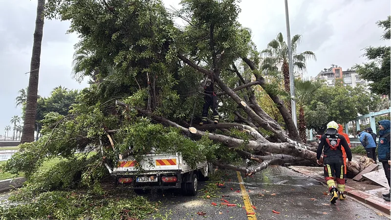 Mersin'de rüzgarın etkisiyle devrilen ağaç seyir halindeki 3 araca zarar verdi