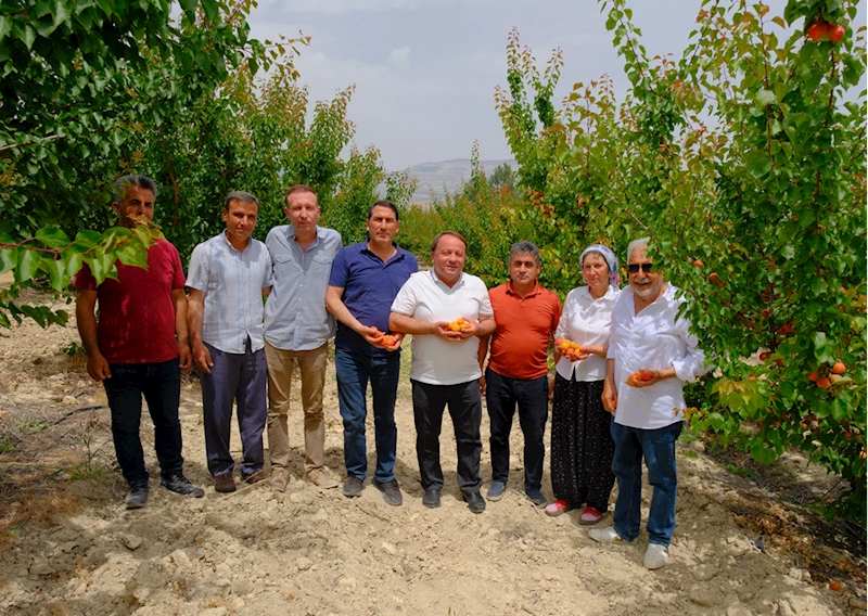Mersin