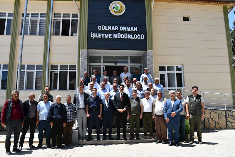 Gülnar