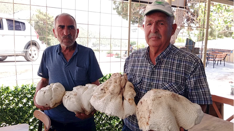 Mersin