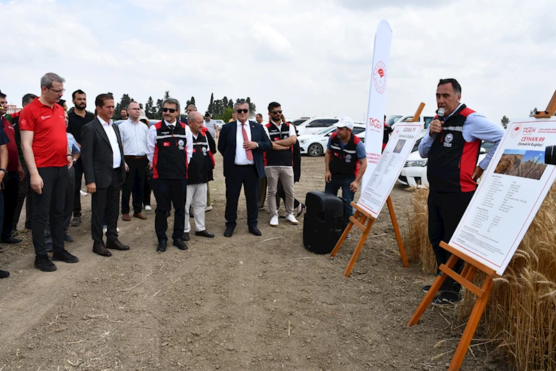 Adana