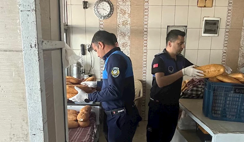 Yumurtalık