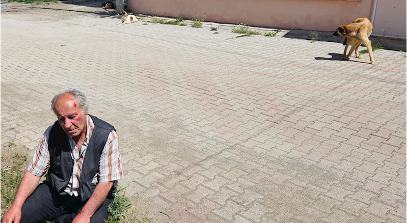 Burdur