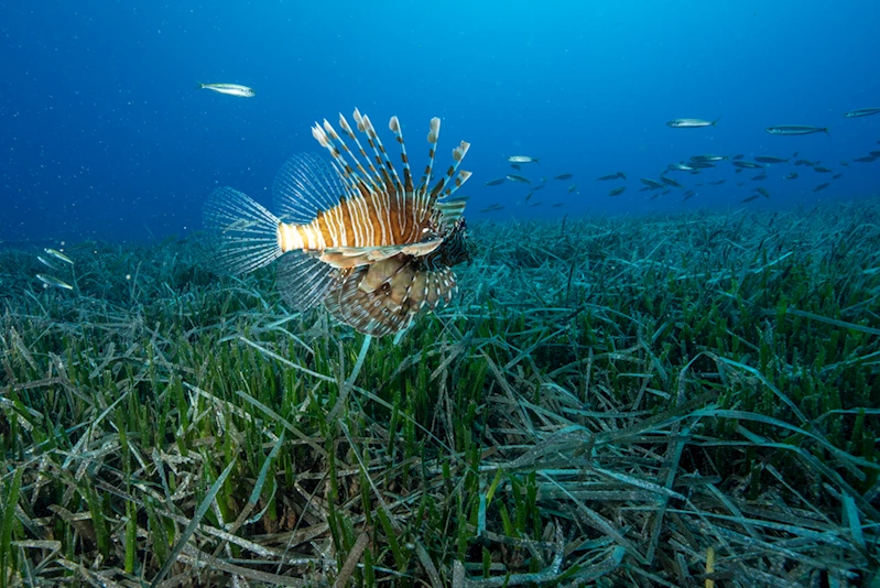 Antalya