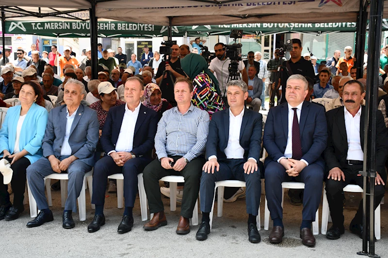 Gülnar