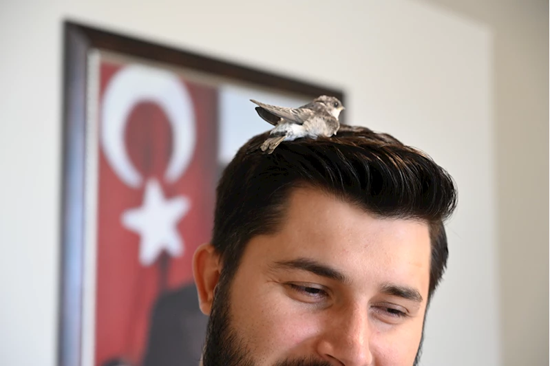 Kadirli