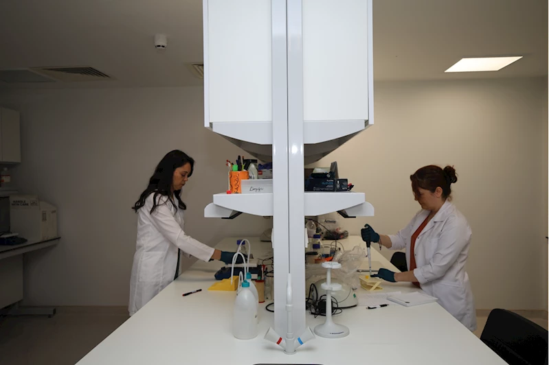 Akdeniz Üniversitesi organ nakillerinde kullanılan ilaç ve malzemelerin üretimi için çalışacak