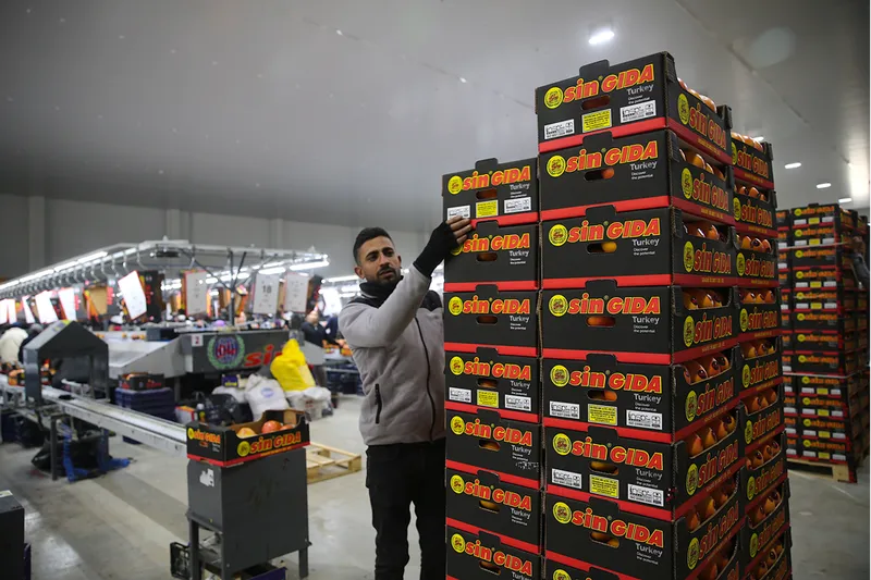 Doğu Akdeniz'den yaş meyve ve sebze ihracatına önemli katkı