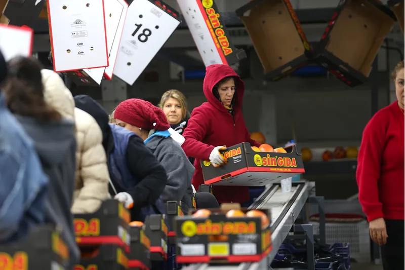 Doğu Akdeniz'den yaş meyve ve sebze ihracatına önemli katkı