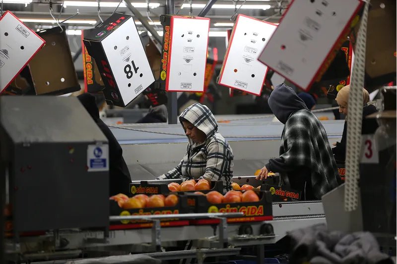 Doğu Akdeniz'den yaş meyve ve sebze ihracatına önemli katkı