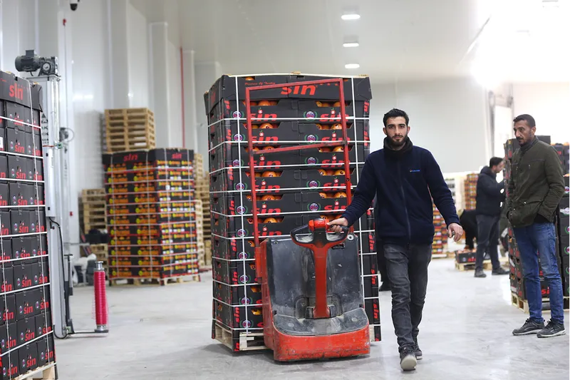 Doğu Akdeniz'den yaş meyve ve sebze ihracatına önemli katkı