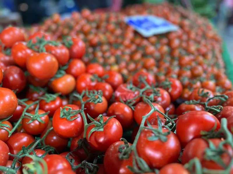 Batı Akdeniz'in ihracat şampiyonu biber oldu