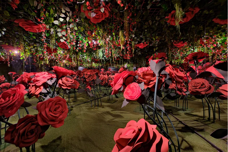 Akasya AVM'den yarıyıl tatiline özel program