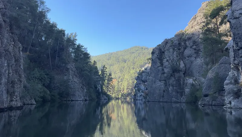 Koruma altındaki sığla ormanının güzellikleri tekne turuyla keşfediliyor