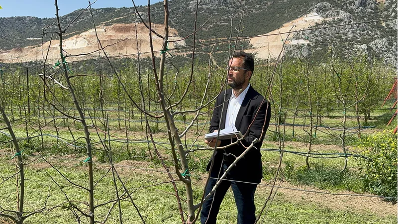 Türkiye'nin elma bahçesi Isparta'da zirai dona karşı yerli çeşitler geliştiriliyor