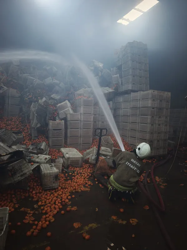 Hatay'da narenciye paketleme tesisinde çıkan yangında dumandan etkilenen işçi öldü