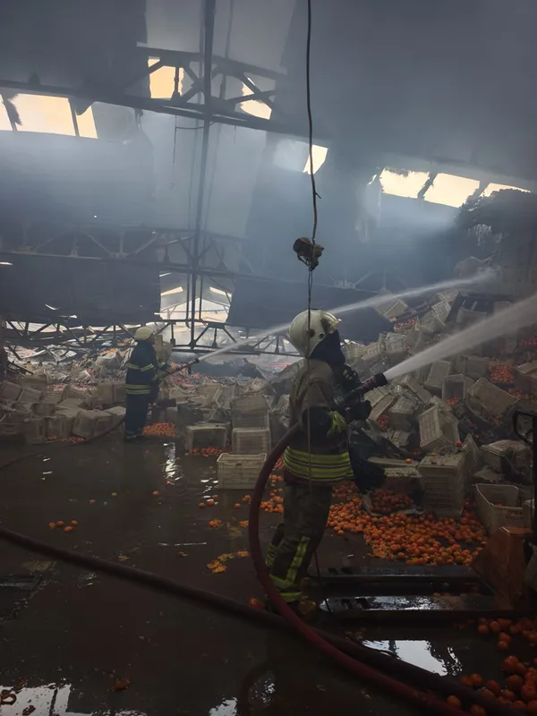 Hatay'da narenciye paketleme tesisinde çıkan yangında dumandan etkilenen işçi öldü