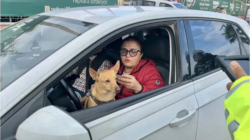 Mersin'de kucağında köpekle otomobil kullanan sürücü uyarıldı