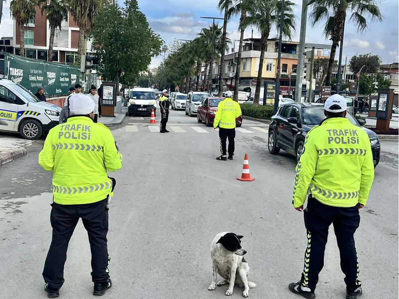 Mersin'de kucağında köpekle otomobil kullanan sürücü uyarıldı